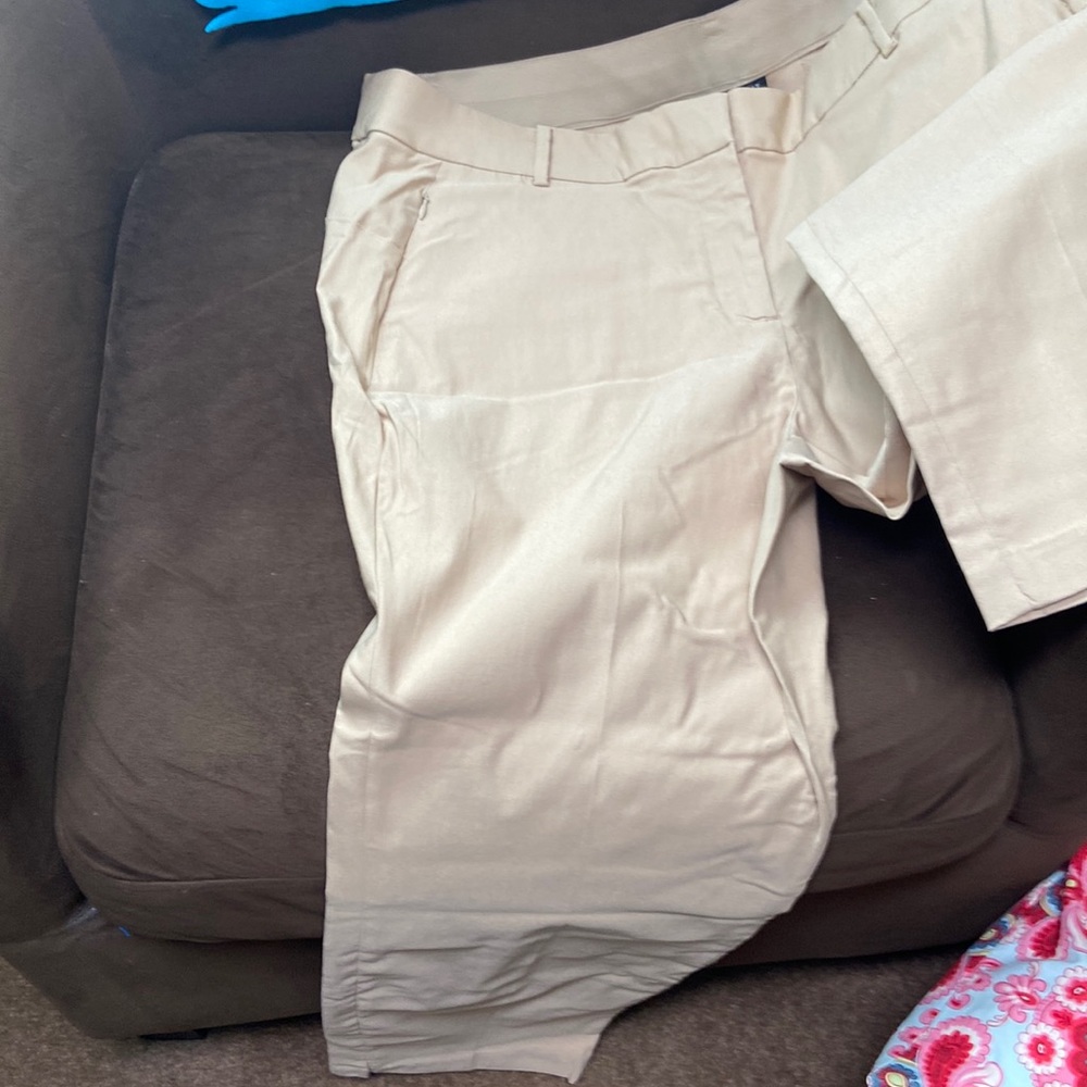 Pants spandex size 22